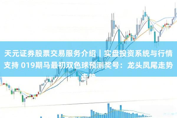 天元证券股票交易服务介绍｜实盘投资系统与行情支持 019期马最初双色球预测奖号：龙头凤尾走势