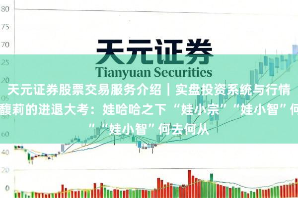天元证券股票交易服务介绍｜实盘投资系统与行情支持 宗馥莉的进退大考：娃哈哈之下 “娃小宗”“娃小智”何去何从
